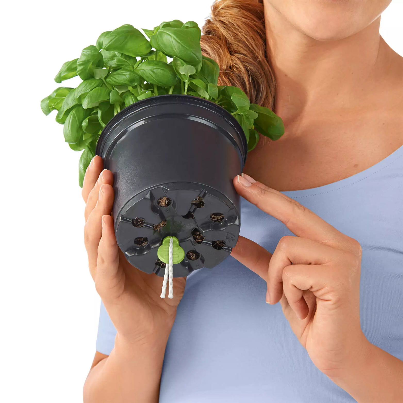 Varilla de plantado (6x)