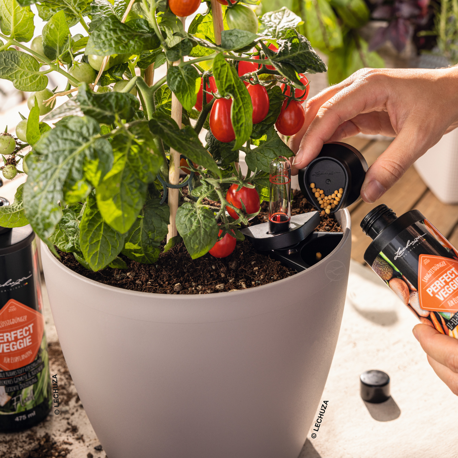 PERFECT VEGGIE Fertilisers