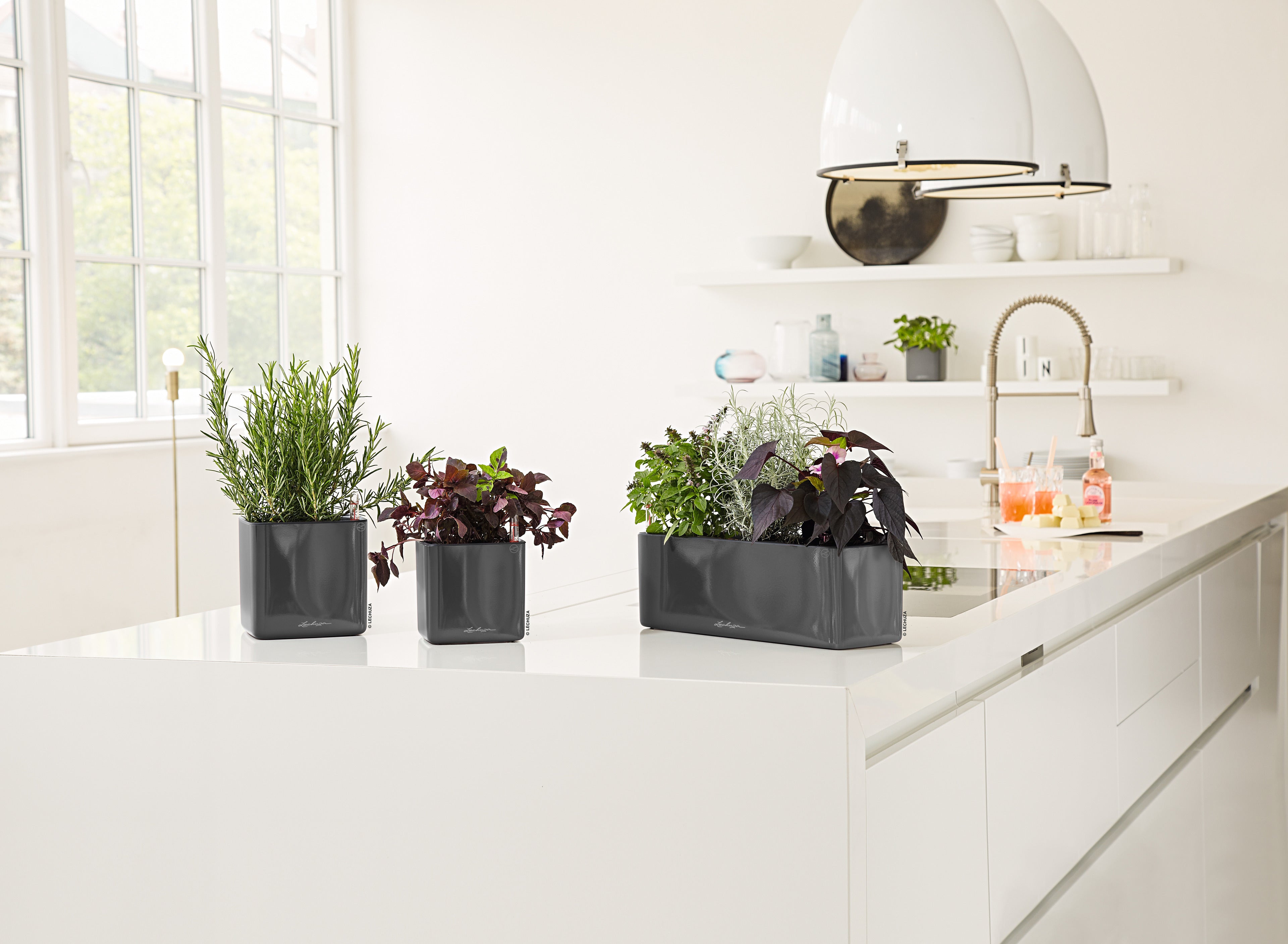 CUBE Glossy 14 | 16 | TRIPLE | GREEN WALL 14
