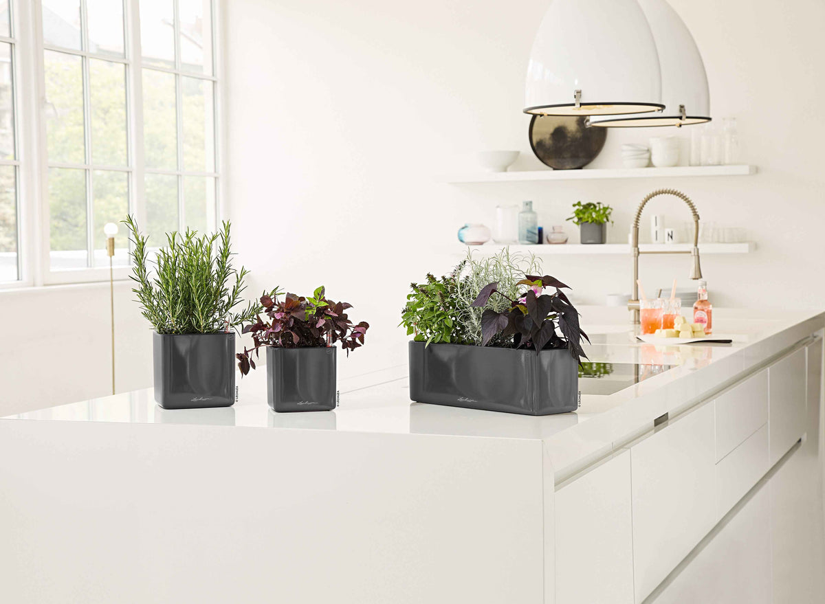 CUBE Glossy 14 | 16 | TRIPLE | GREEN WALL 14 - MACETASEMOBILI.COM