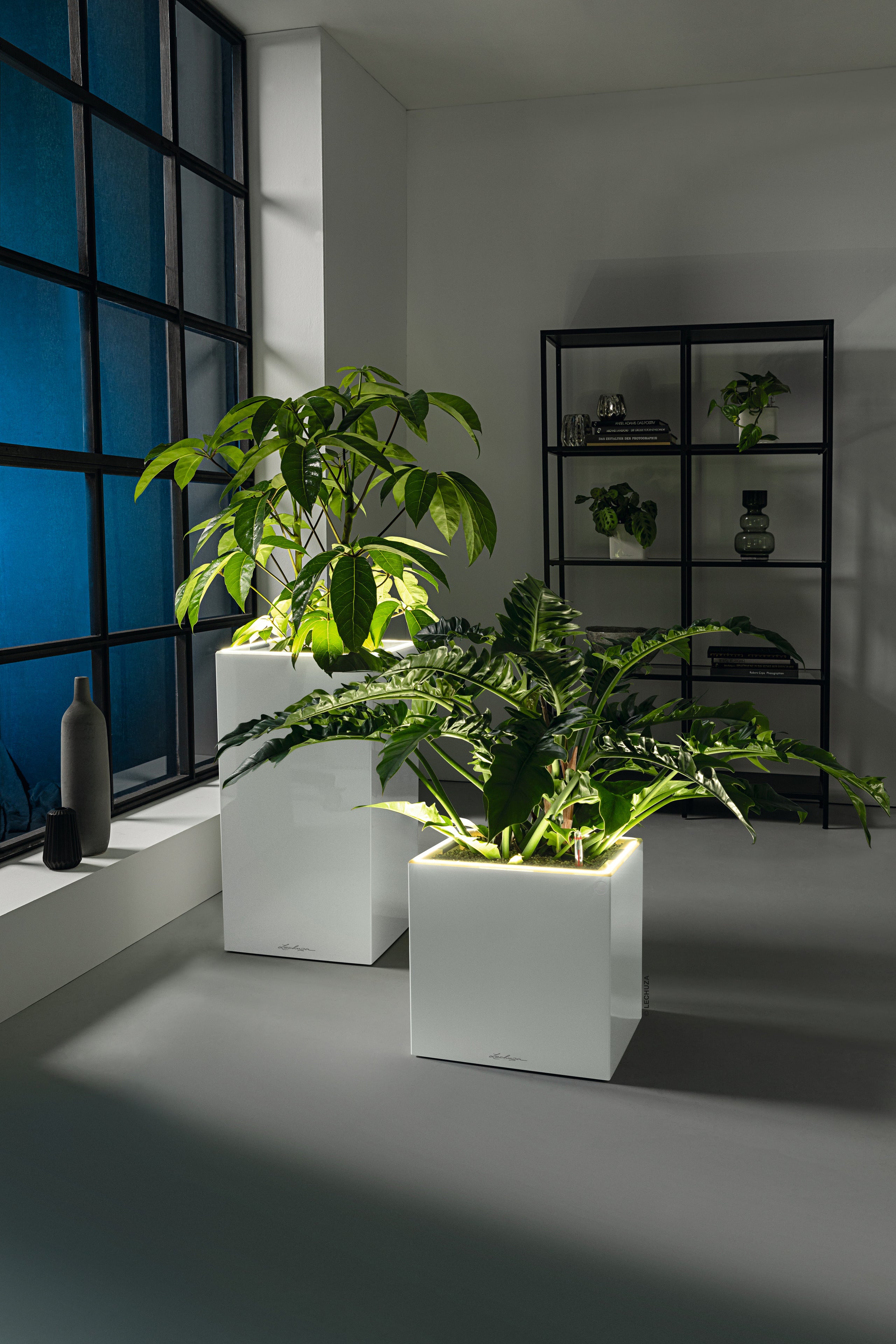 CANTO Premium LED