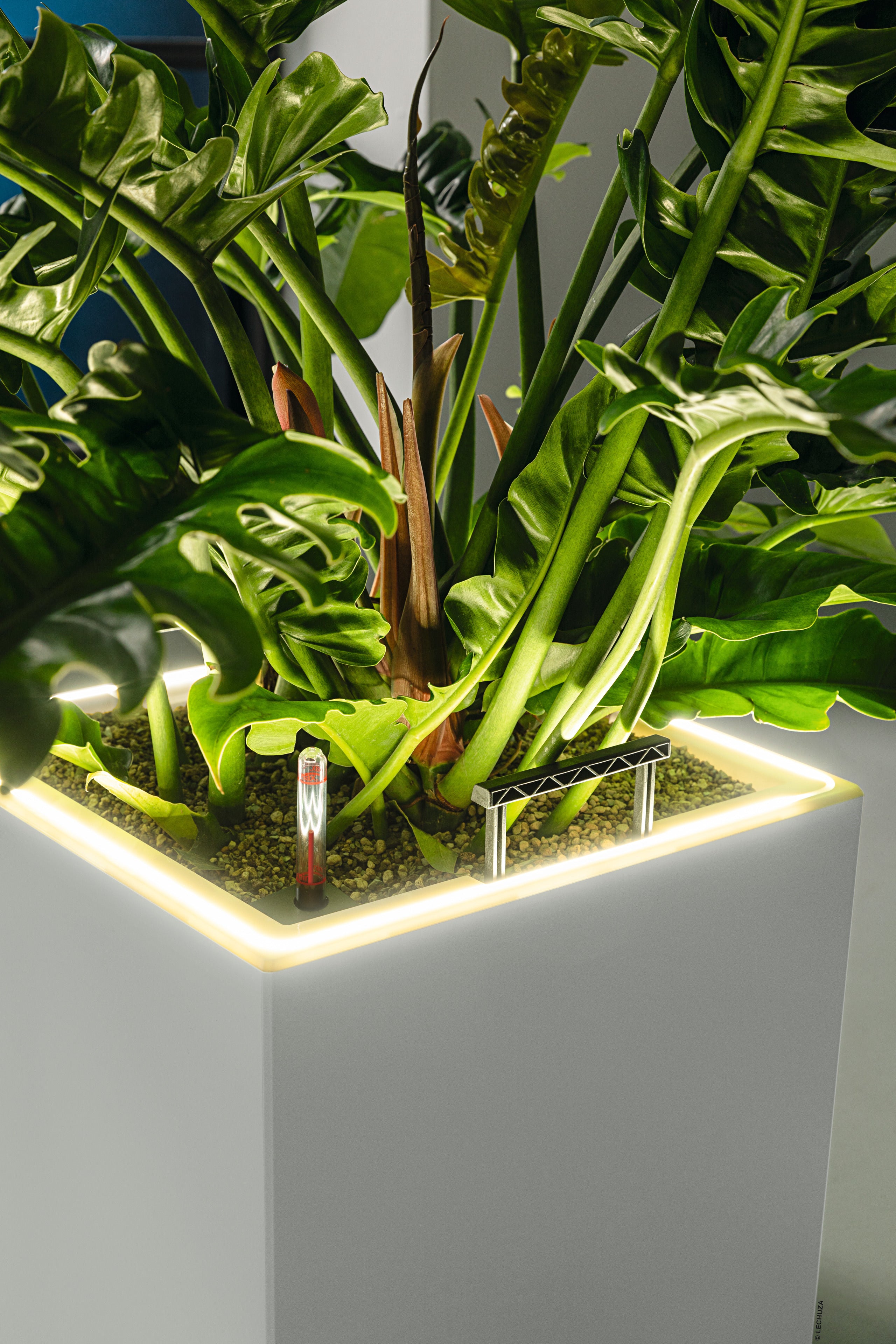 CANTO Premium LED