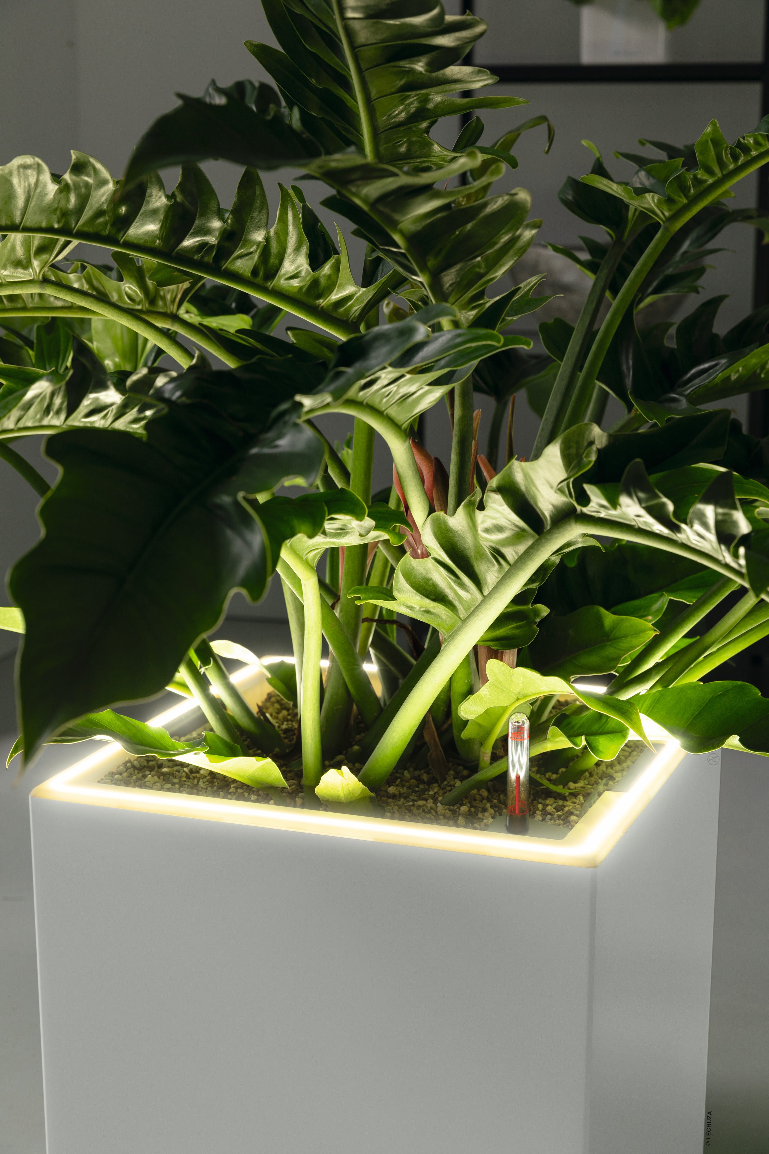 CANTO Stone LED
