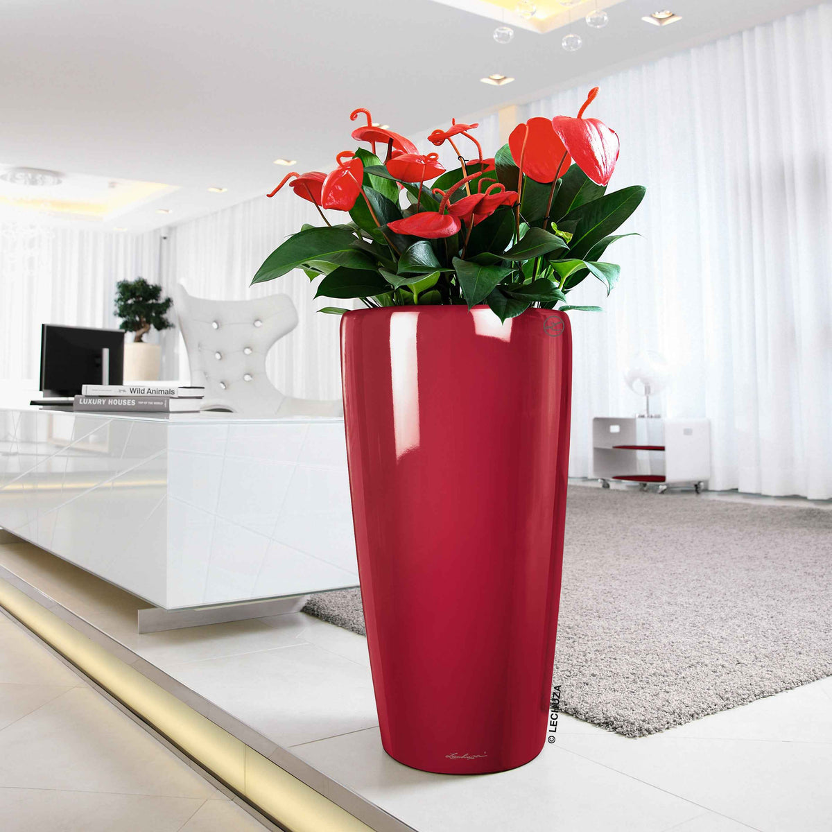 Maceta RONDO Premium
