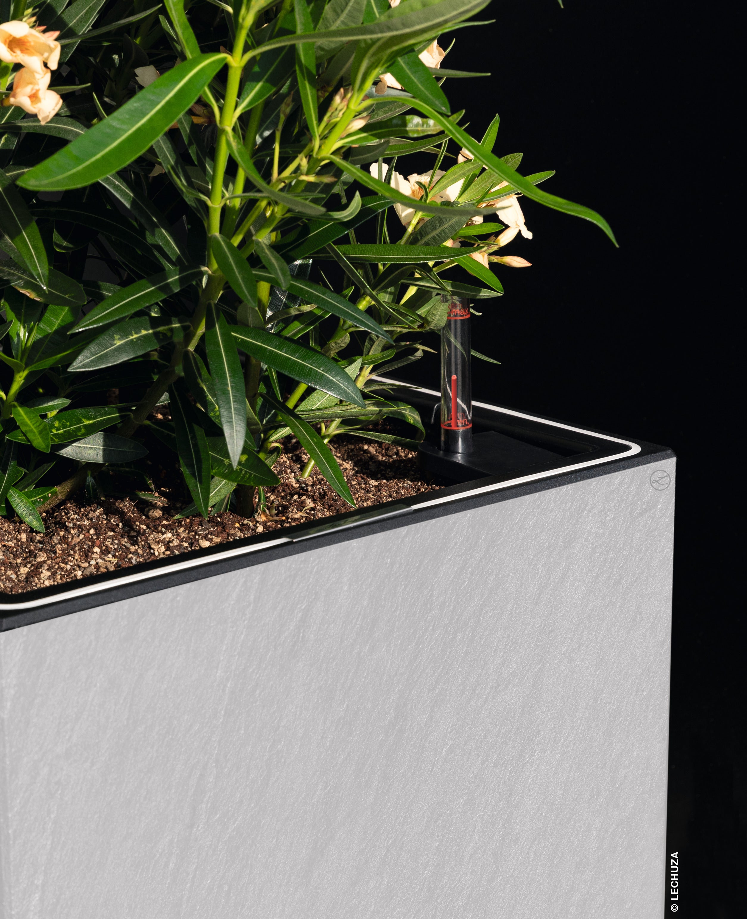 CANTO Slatestone LED