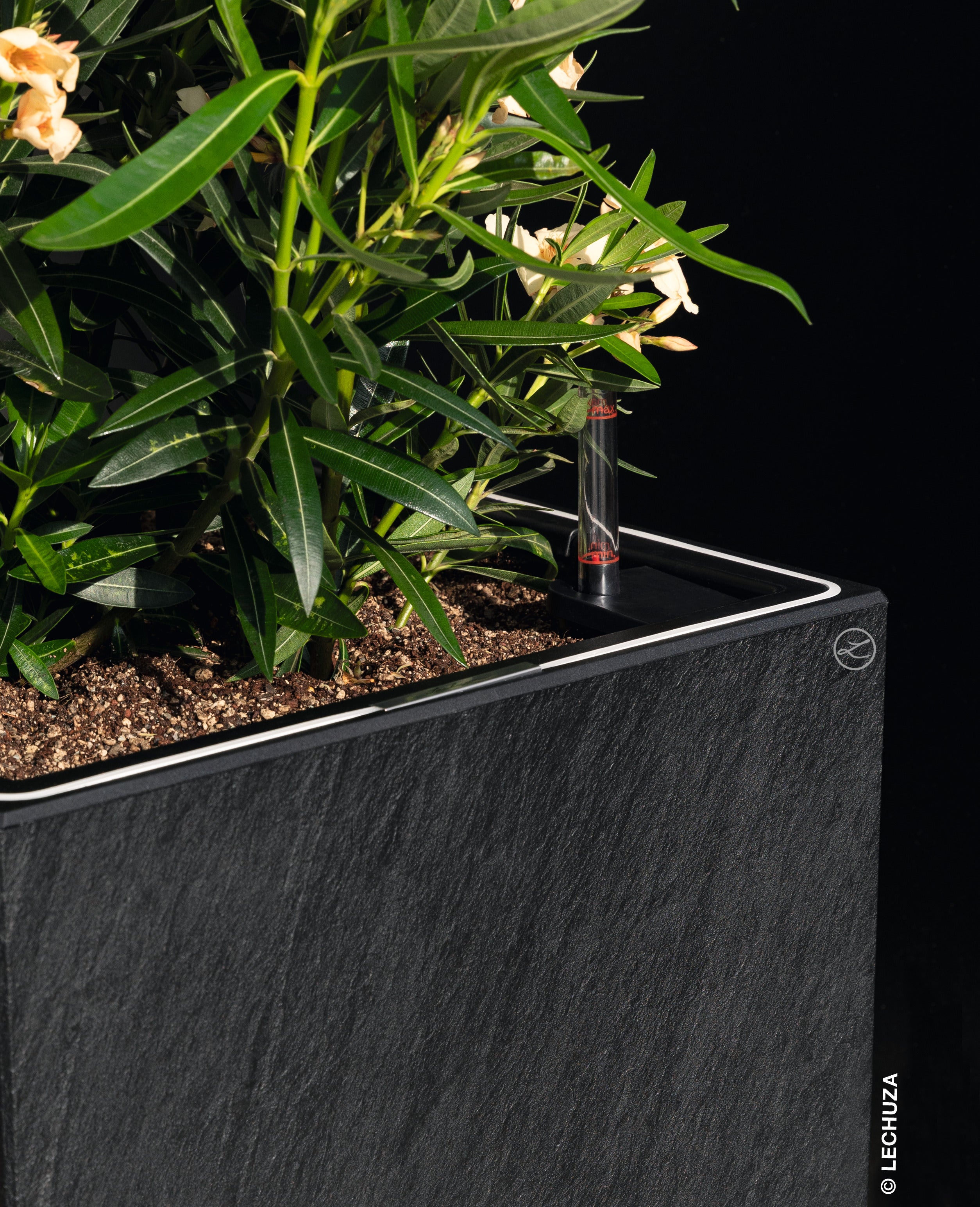 CANTO Slatestone LED