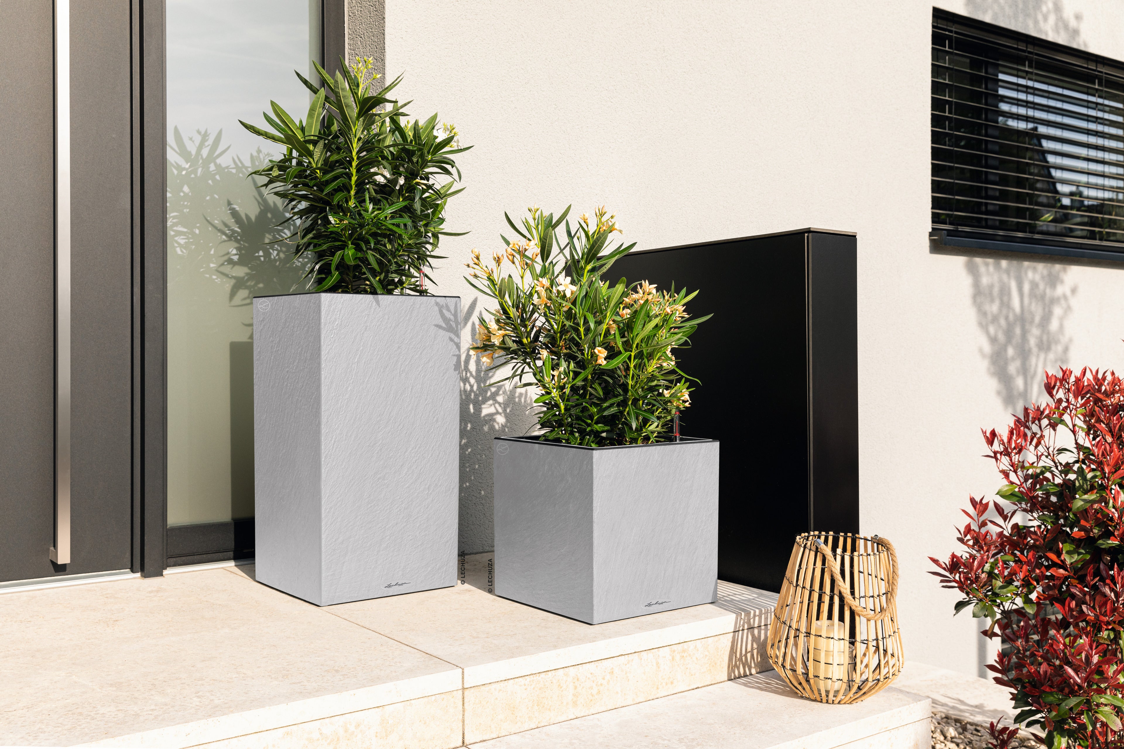 CANTO Slatestone