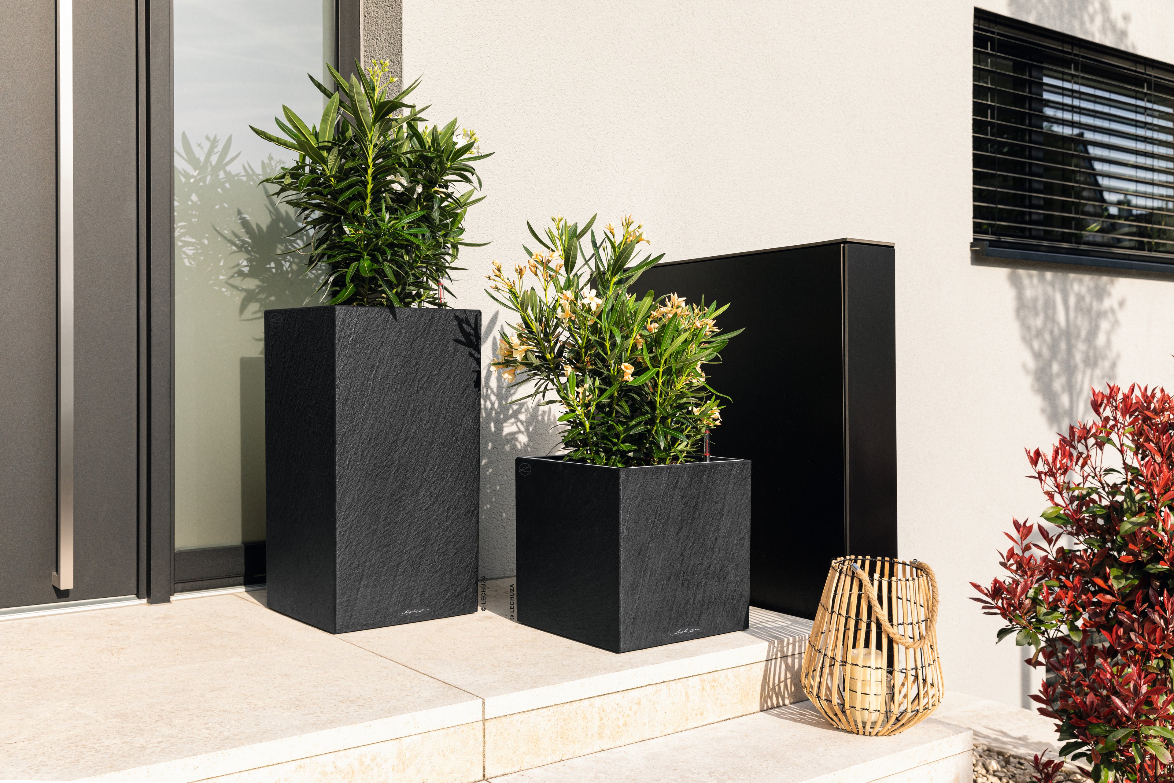 CANTO Slatestone
