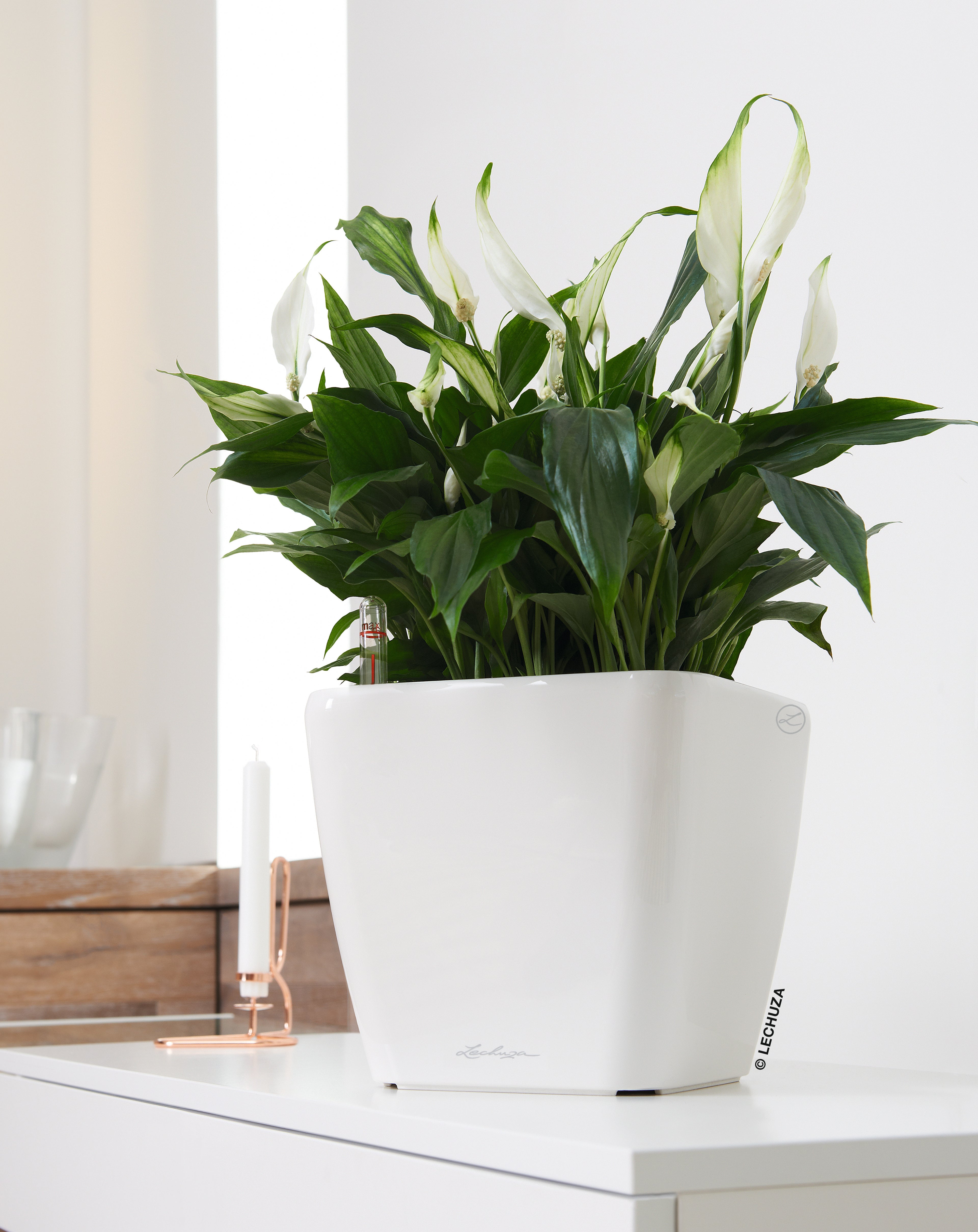 QUADRO Premium LS