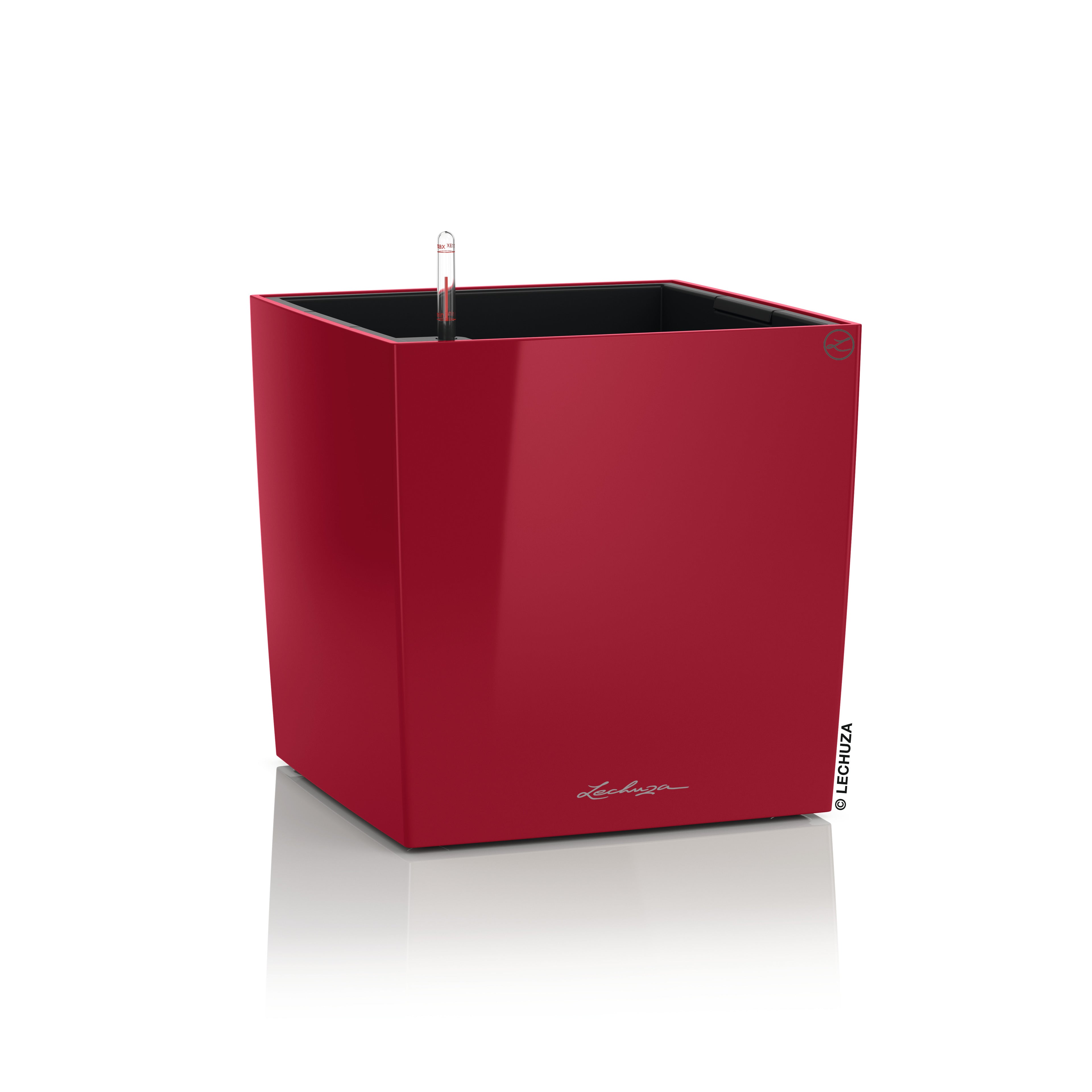 CUBE Premium