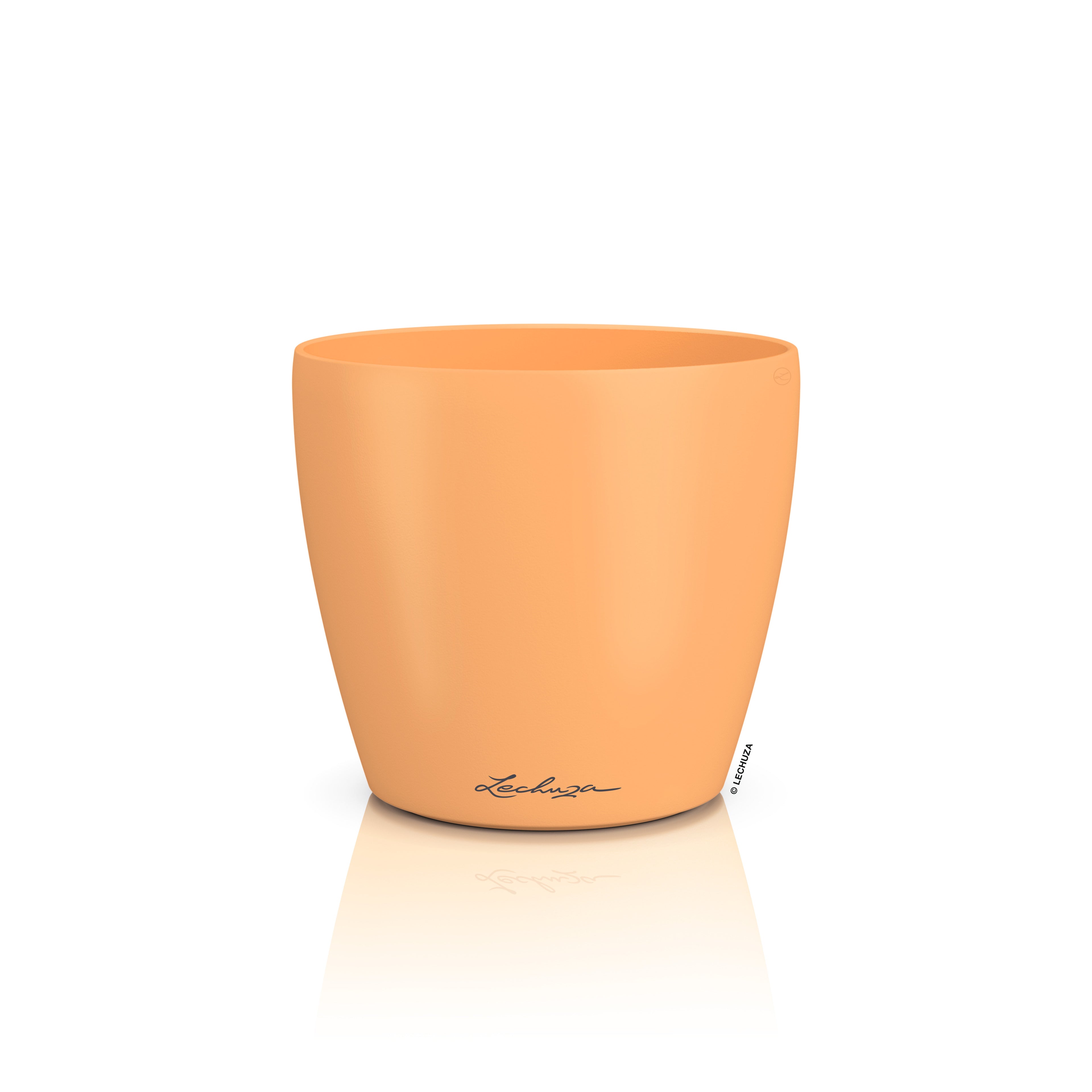 CLASSICO Color DECO