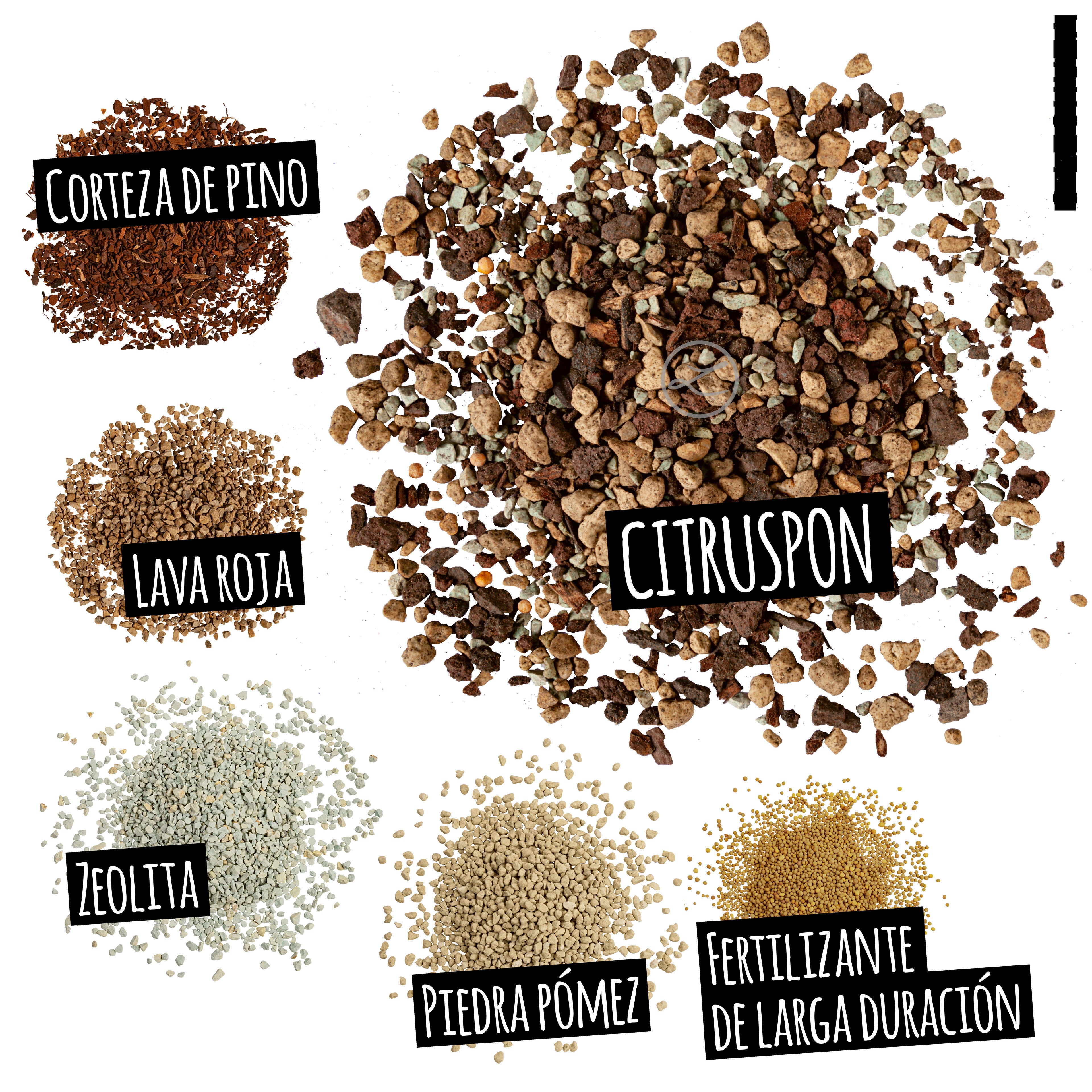 CITRUSPON