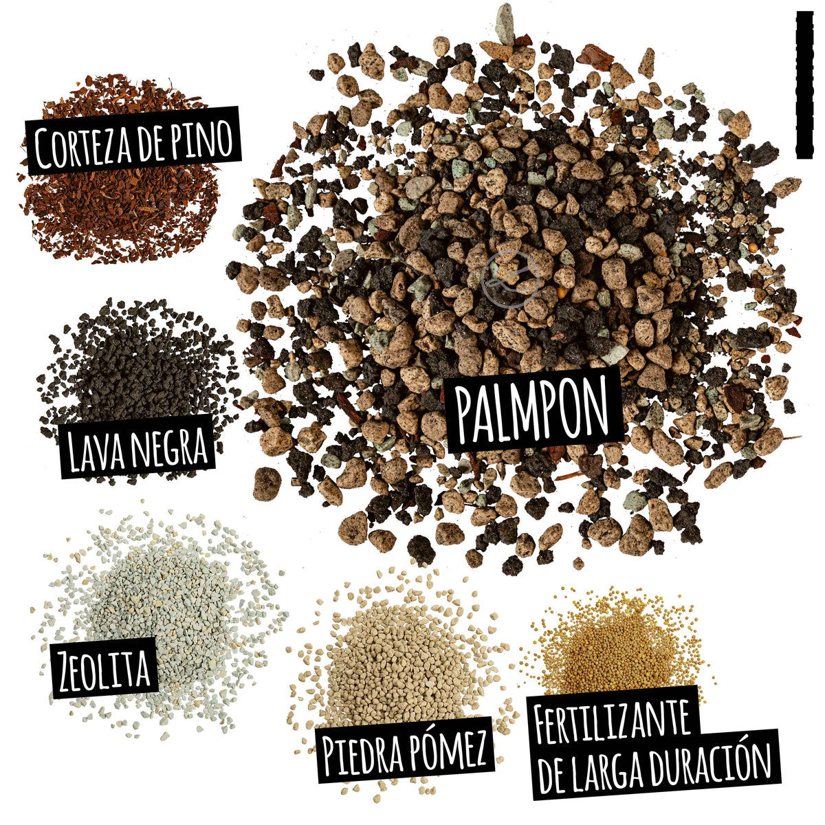 PALMPON - MACETASEMOBILI.COM