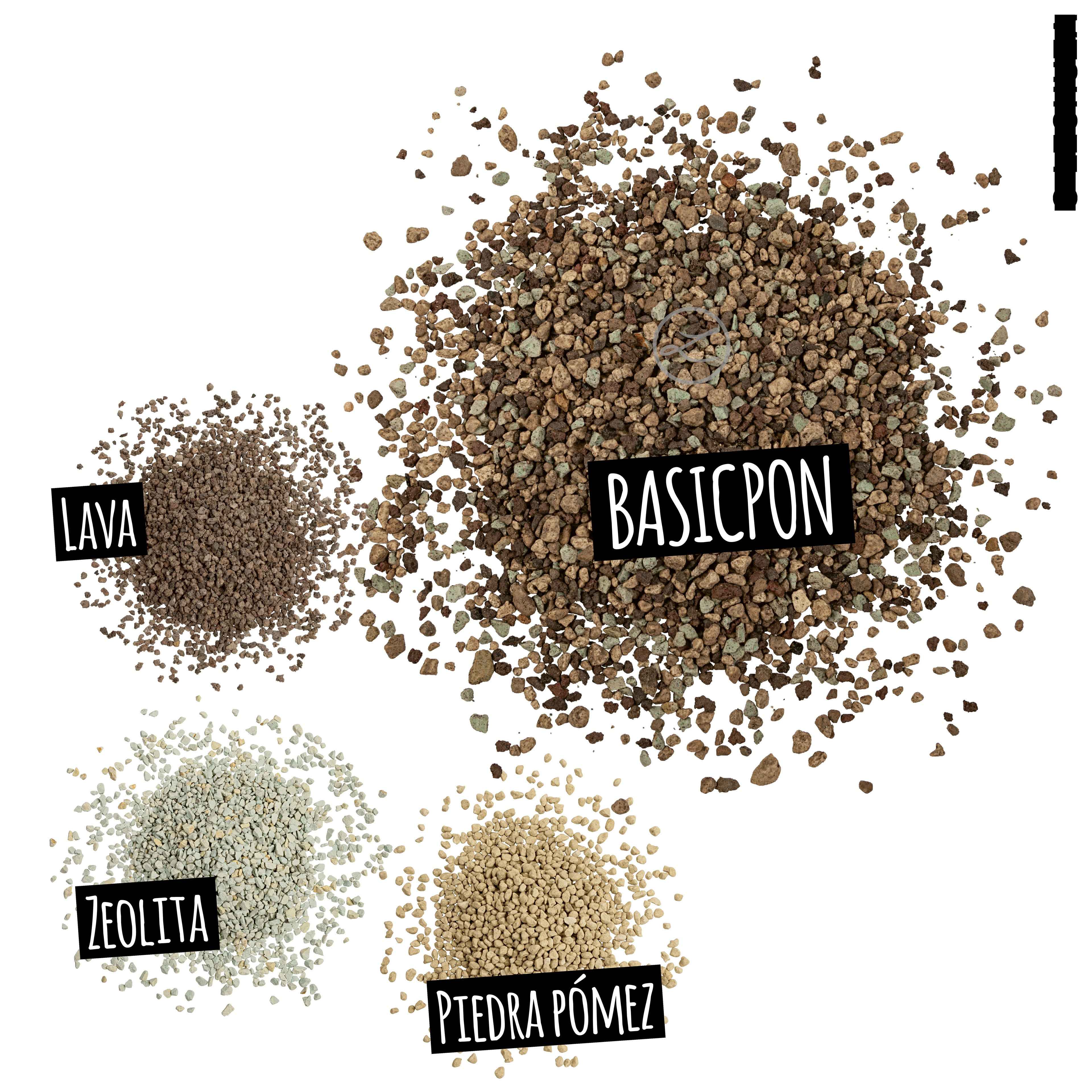 BASICPON - MACETASEMOBILI.COM