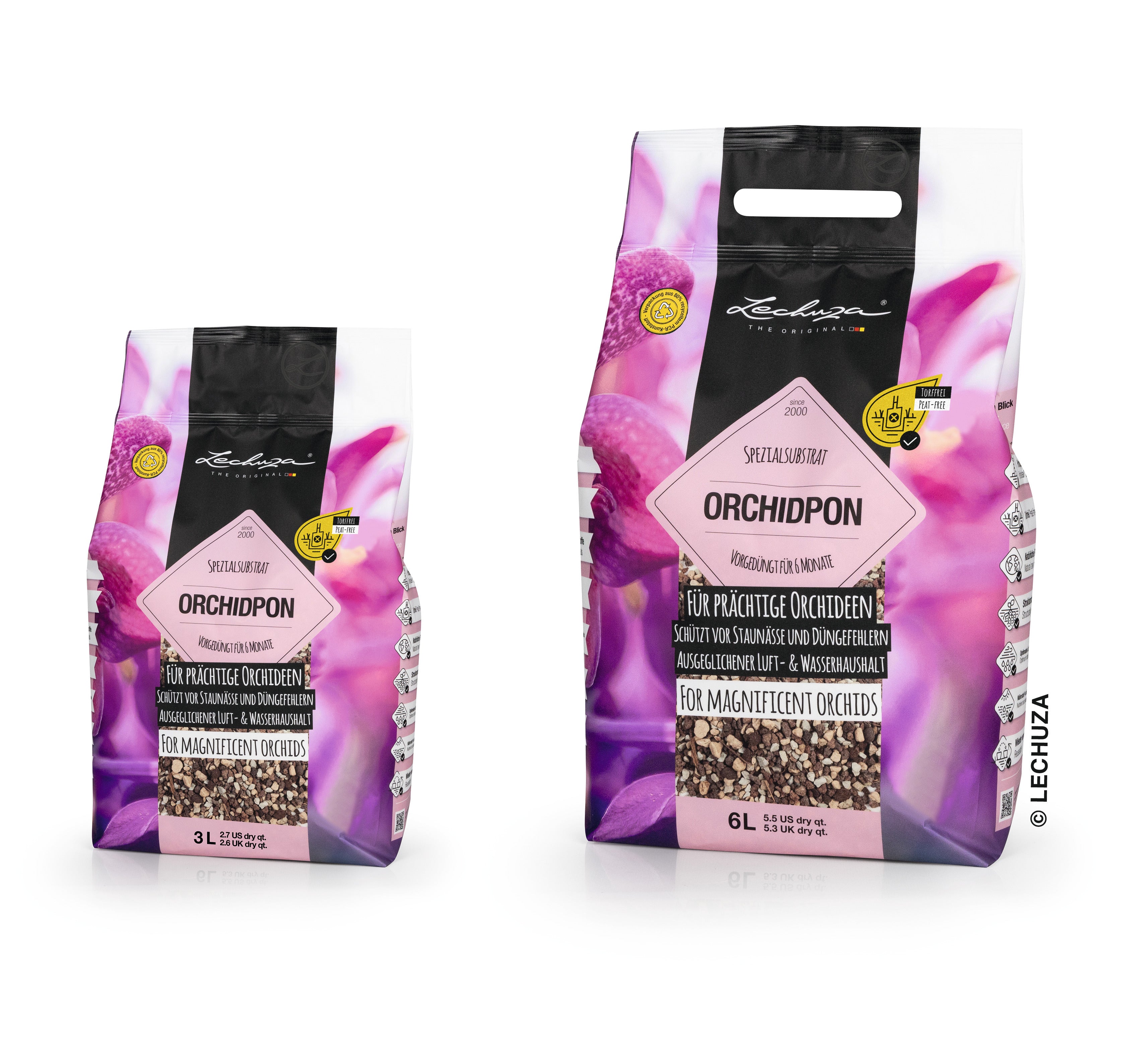 ORCHIDPON