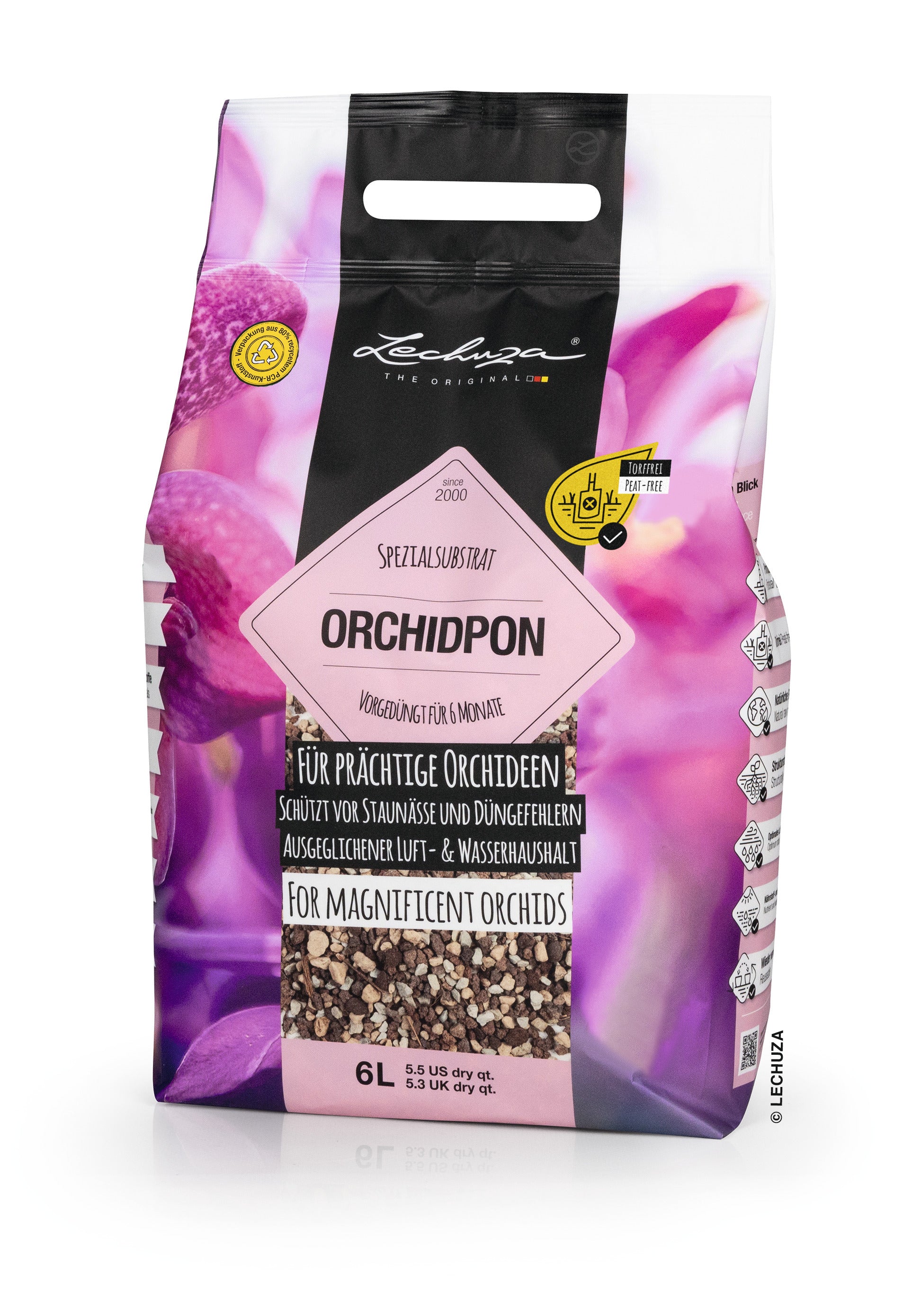 ORCHIDPON