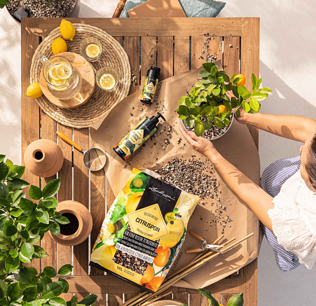 Abono PERFECT CITRUS - MACETASEMOBILI.COM
