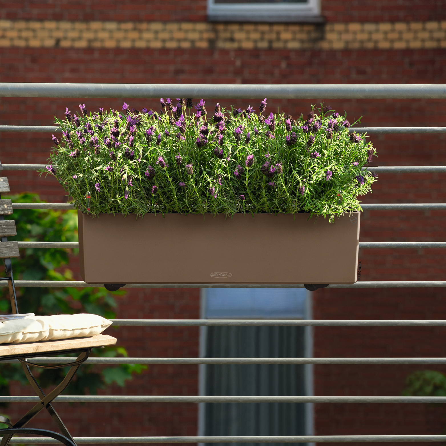 BALCONERA Color
