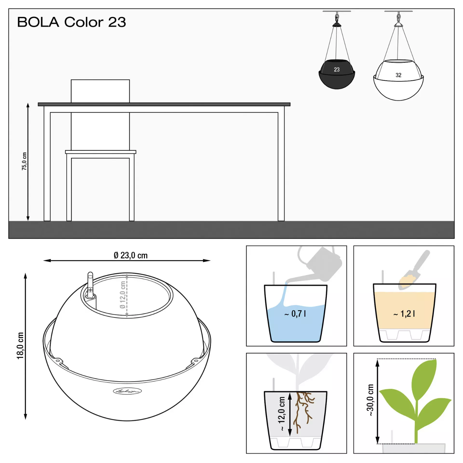 BOLA Color