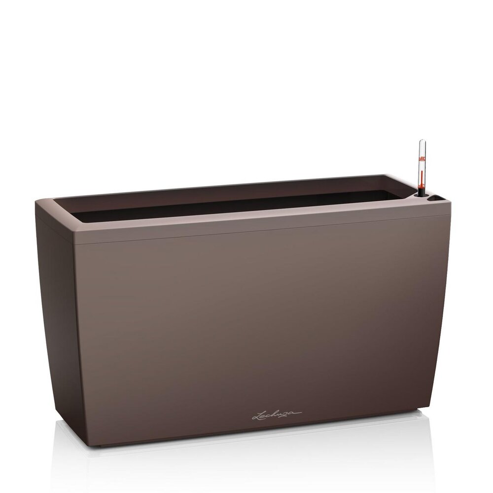 CARARO Premium
