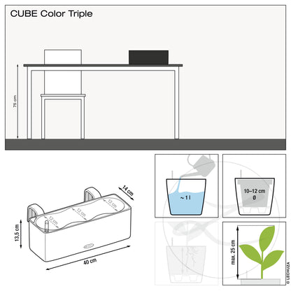 CUBE Color 14 | 16 | TRIPLE | GREEN WALL 14