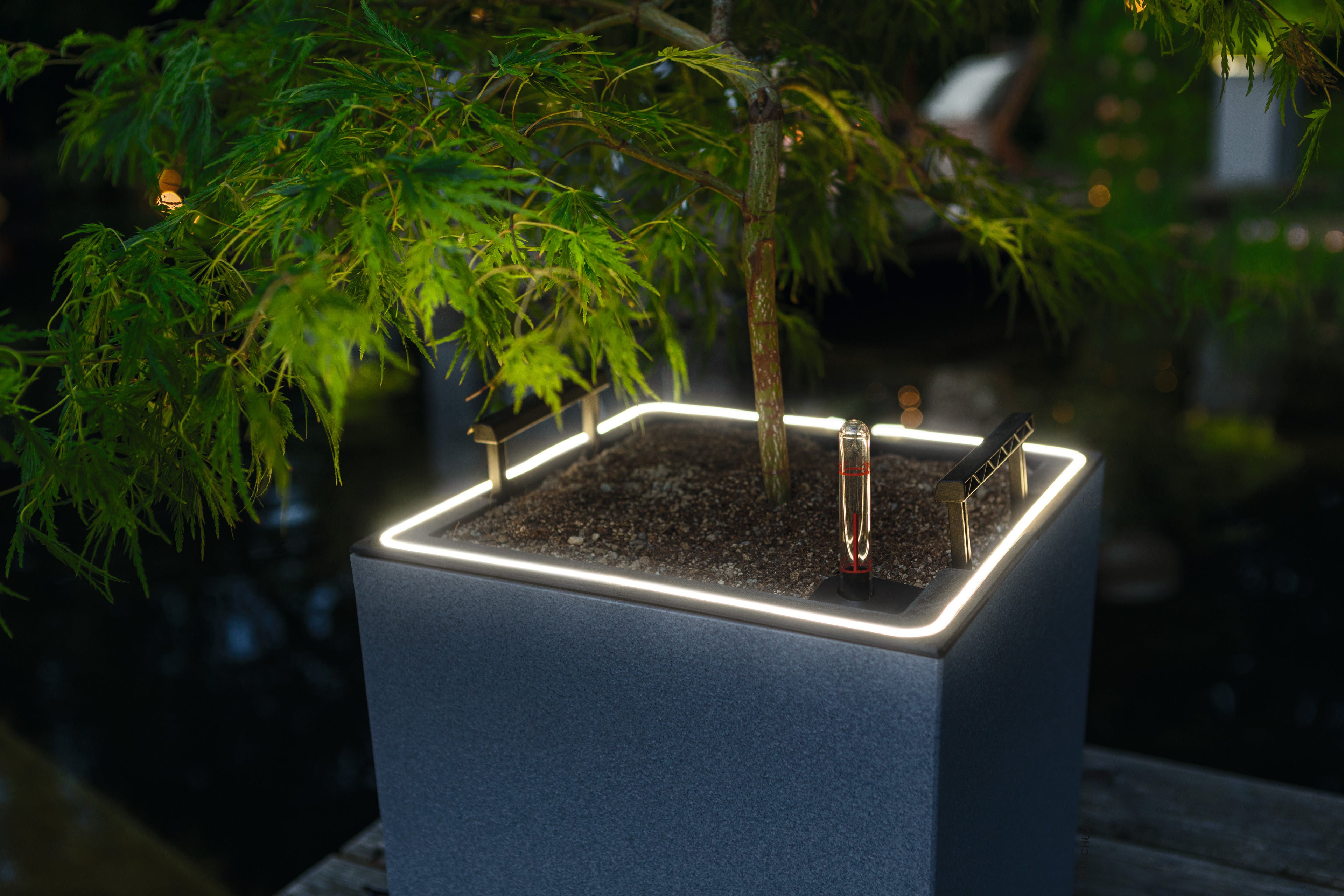 CANTO Stone LED