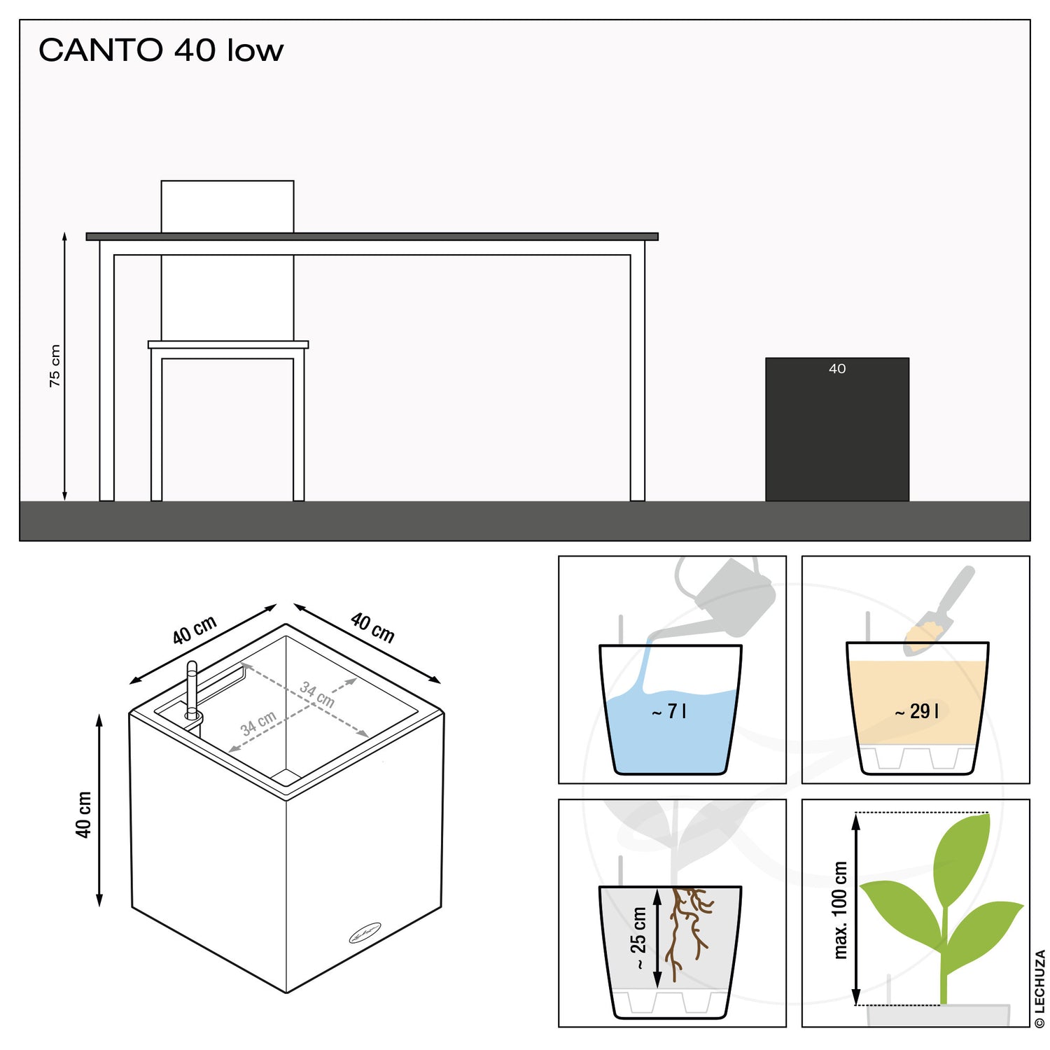 CANTO Stone