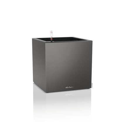 CANTO Premium 40 LOW