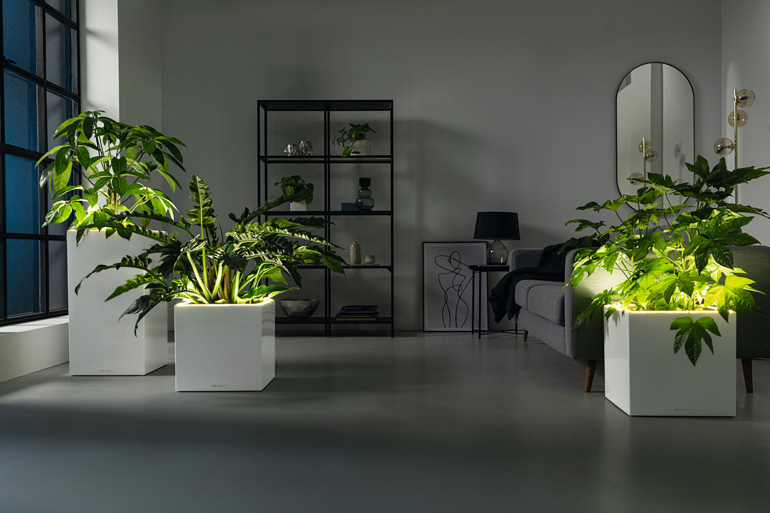 CANTO Stone LED