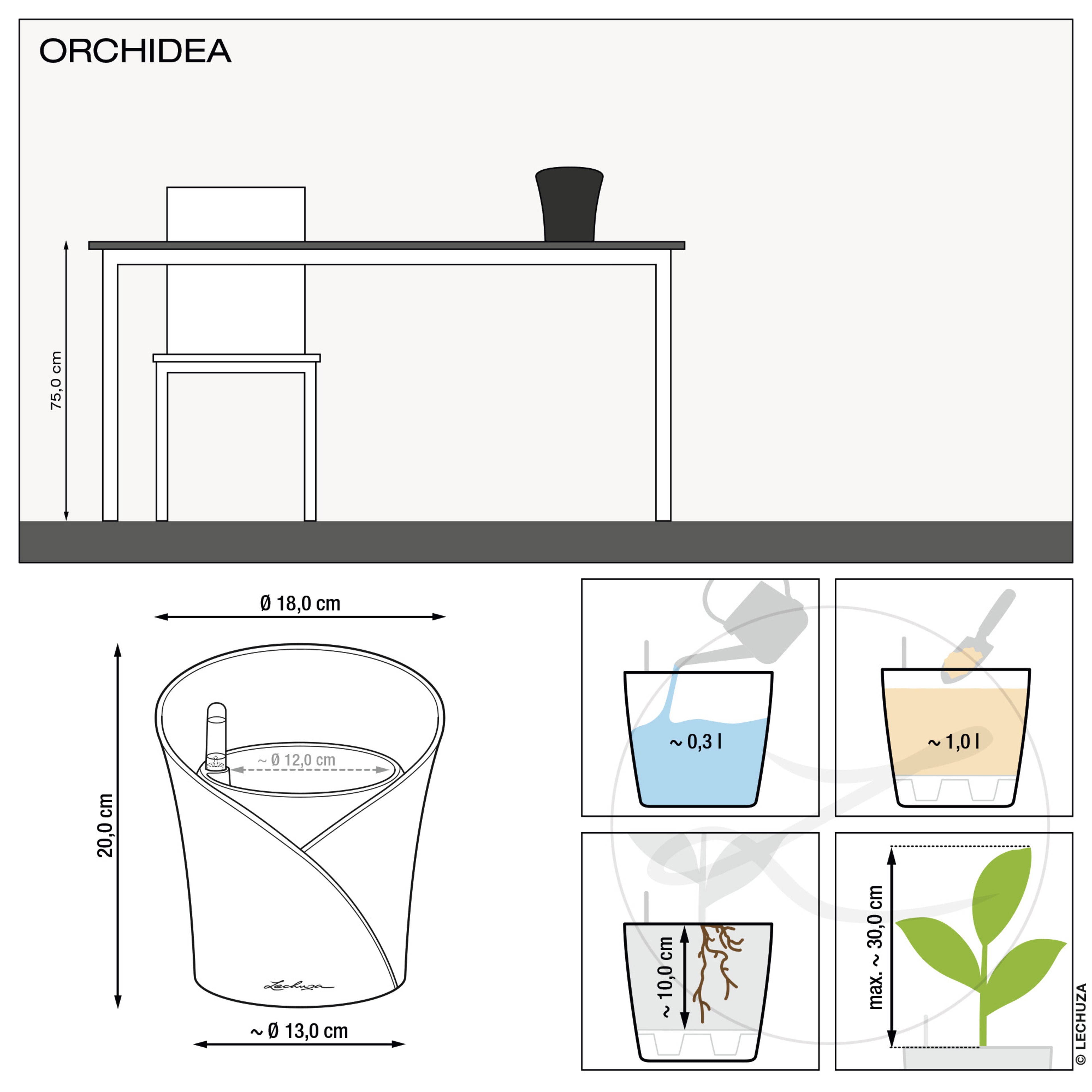 ORCHIDEA