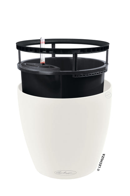 CLASSICO Color LS