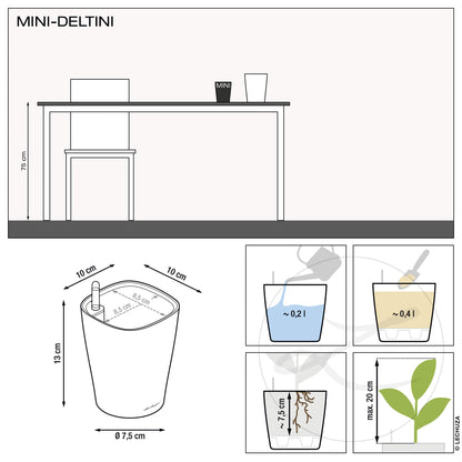 MINI DELTINI | DELTINI
