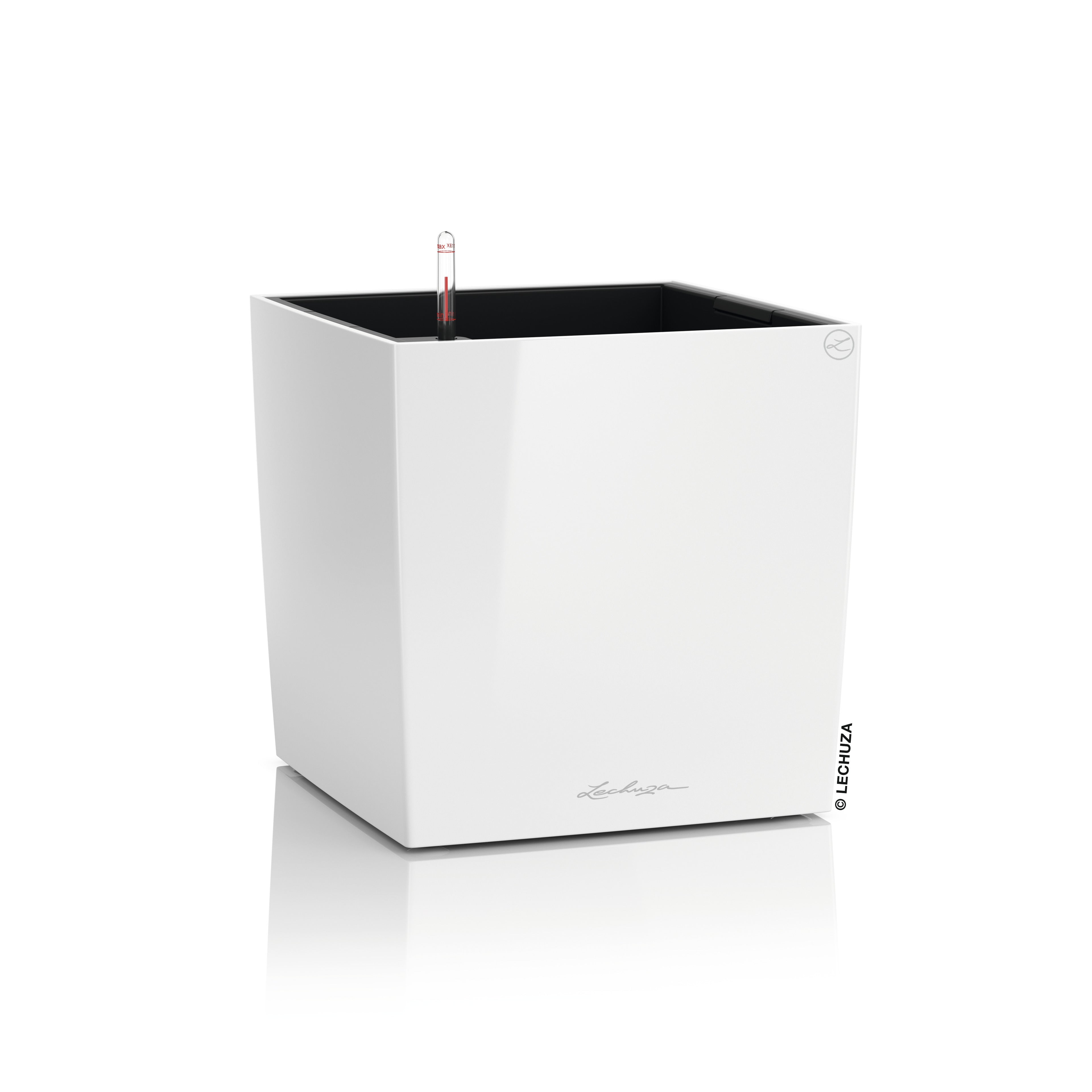 CUBE Premium