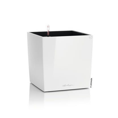 CUBE Premium