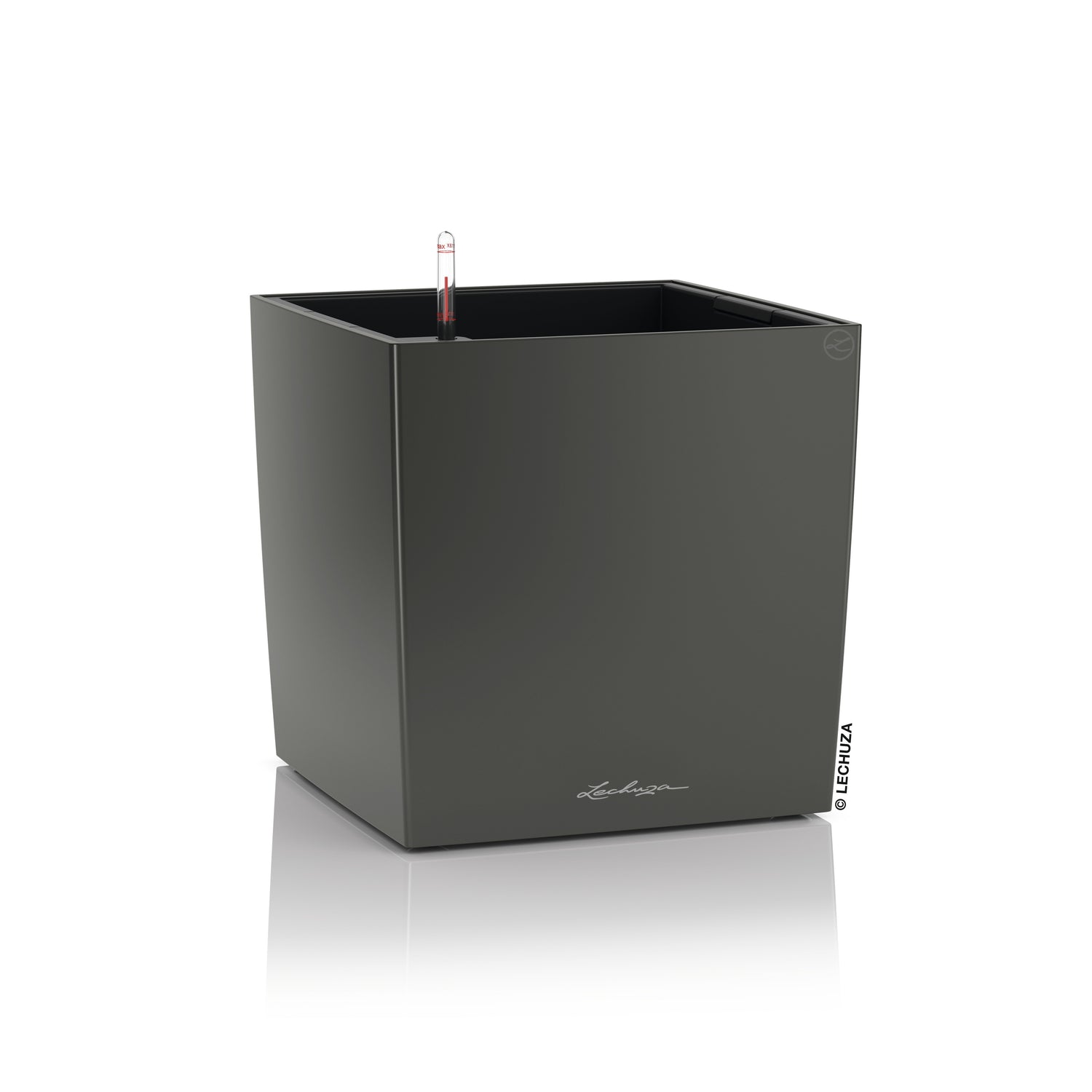 CUBE Premium