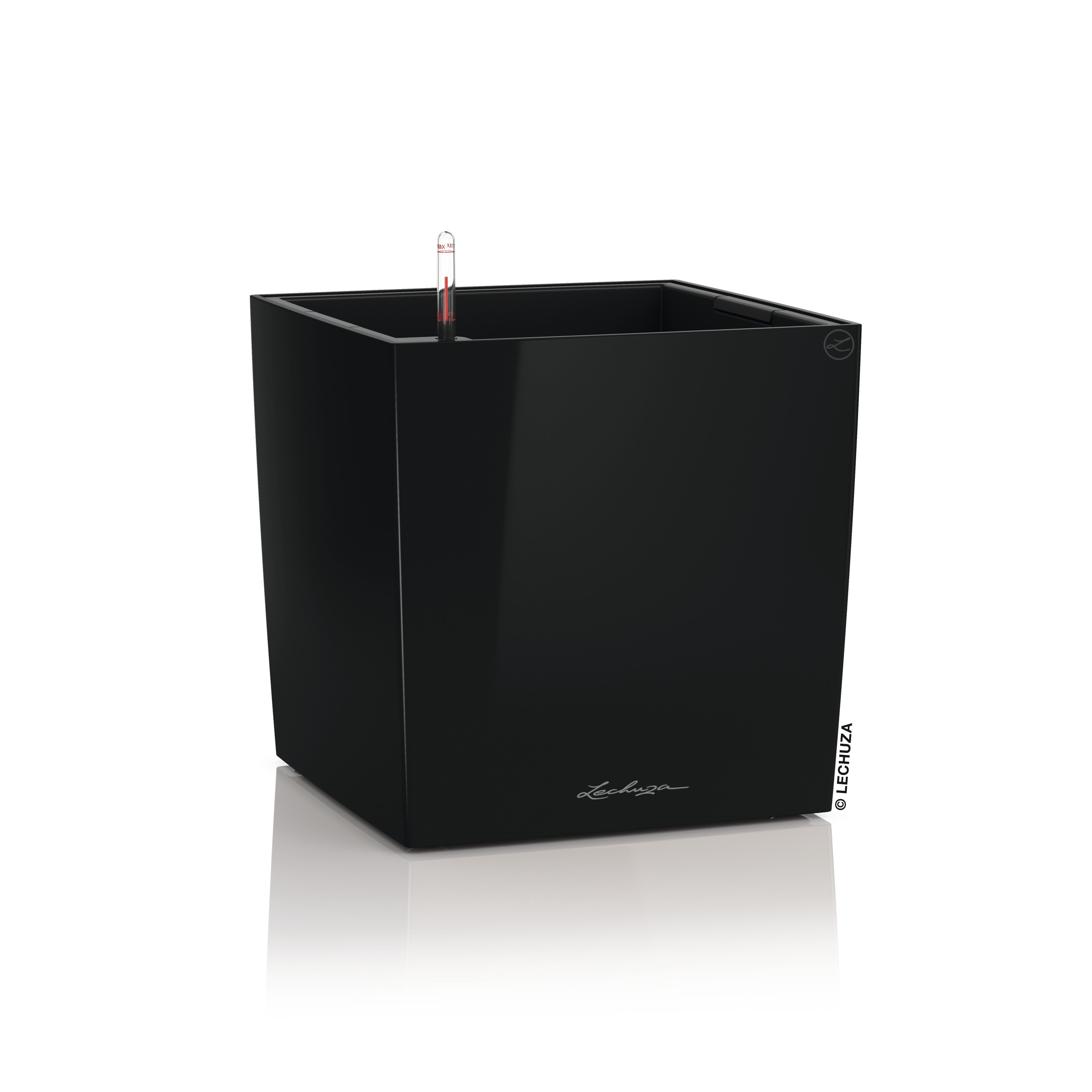 CUBE Premium