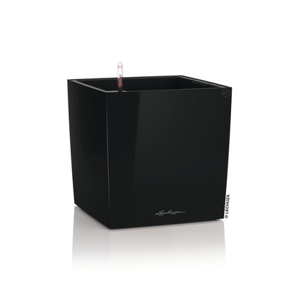 CUBE Premium