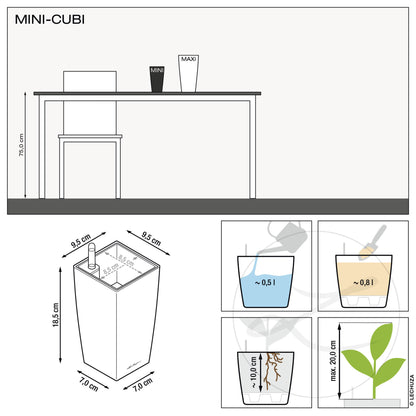 MINI CUBI | MAXI CUBI