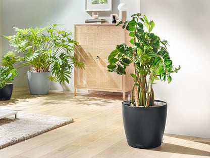 CLASSICO Color ECO