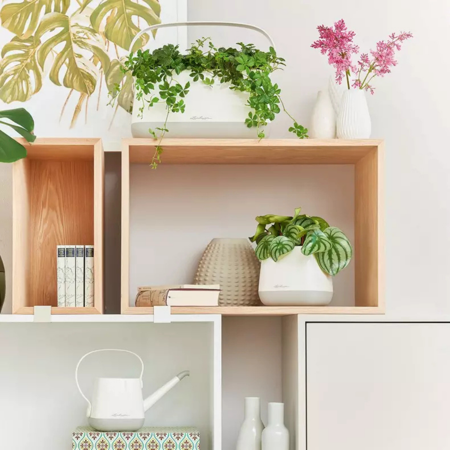 YULA Planter | YULA Plant Bag | YULA Flower