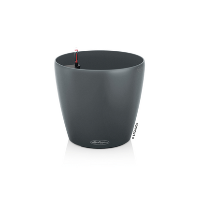 CLASSICO Color ECO