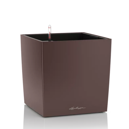 CUBE Premium