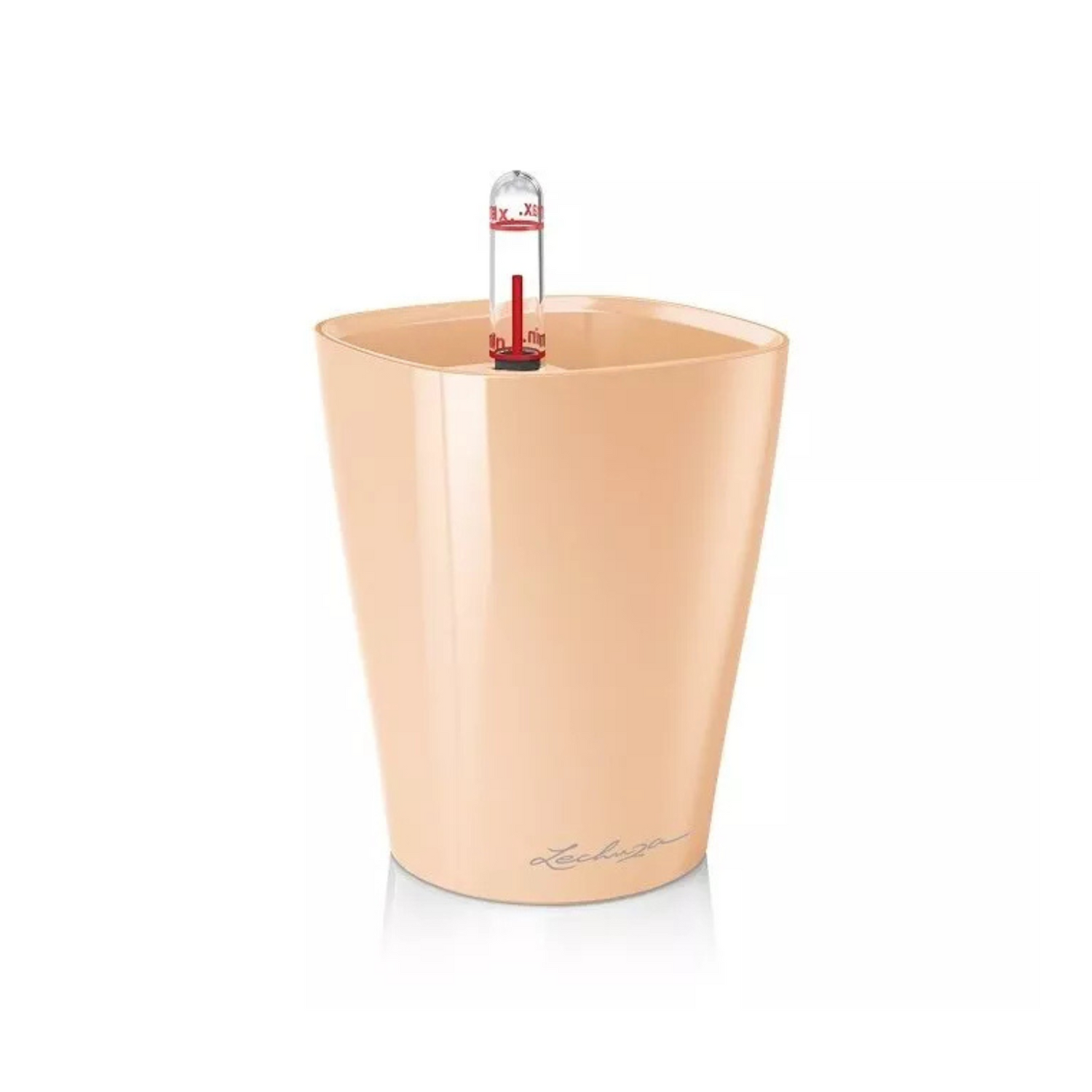 MINI DELTINI | DELTINI