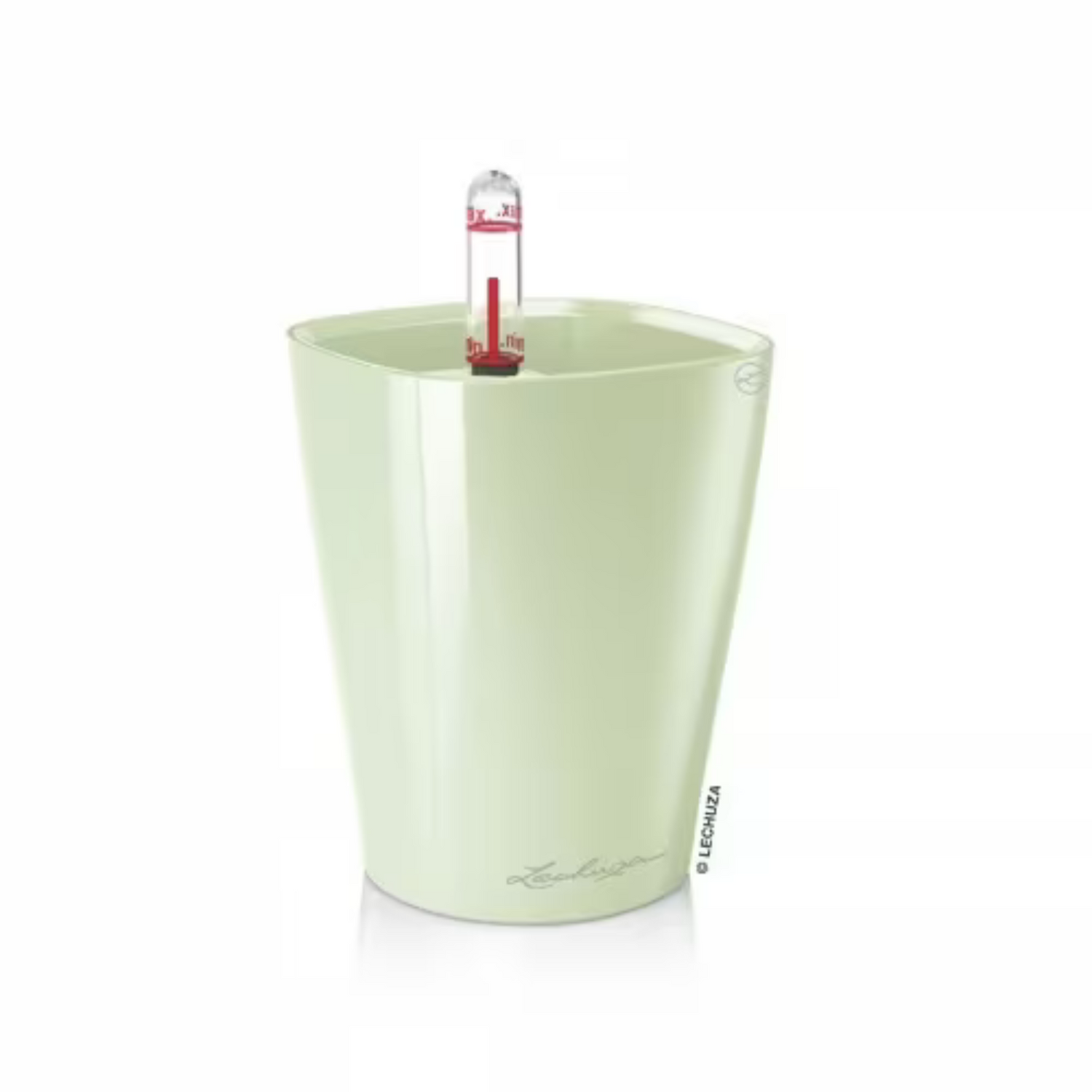 MINI DELTINI | DELTINI