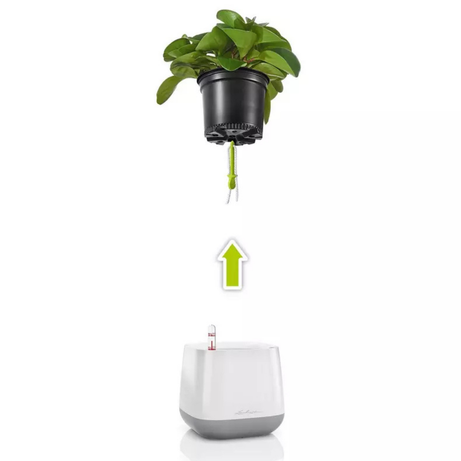 YULA Planter | YULA Plant Bag | YULA Flower